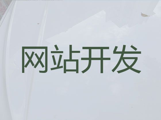 丽江市网站制作设计服务公司-电商网站建设，价格透明