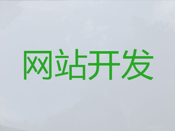 东阳市网站开发设计-AI数字人视频制作，定制开发