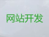 东阳市网站开发设计-AI数字人视频制作，定制开发