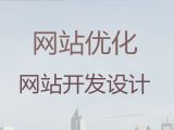 银川市网站开发建设|小视频营销推广，专业开发团队