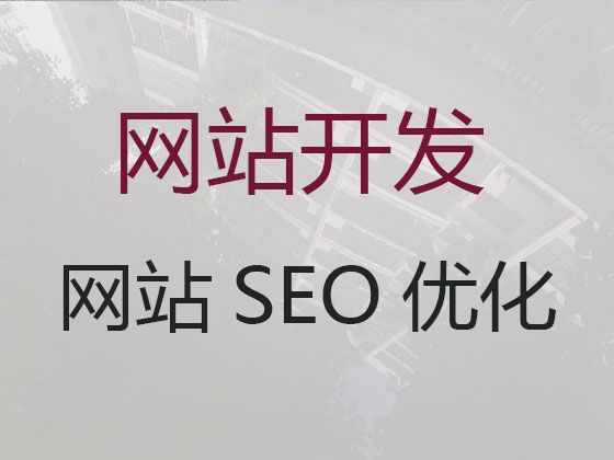 宁德市高效获客助手@网站优化推广服务公司，优秀设计团队